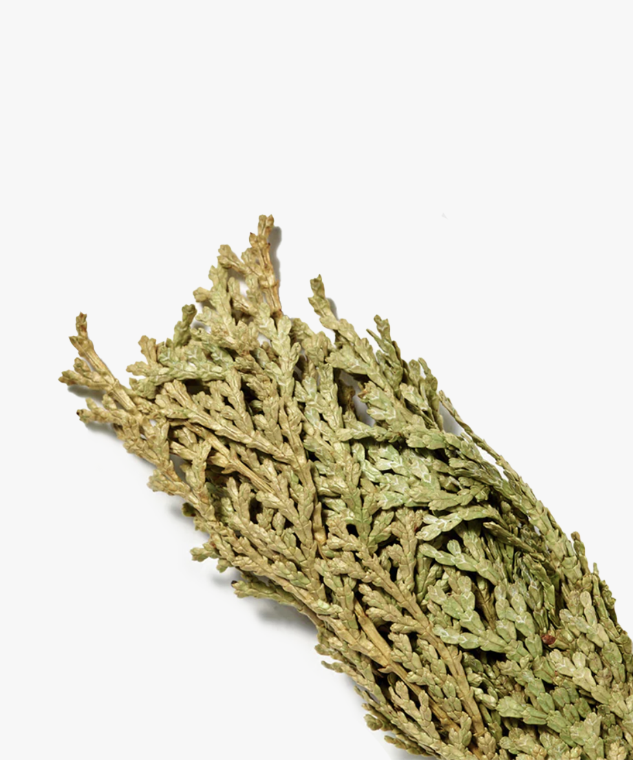 スマッジ Hinoki