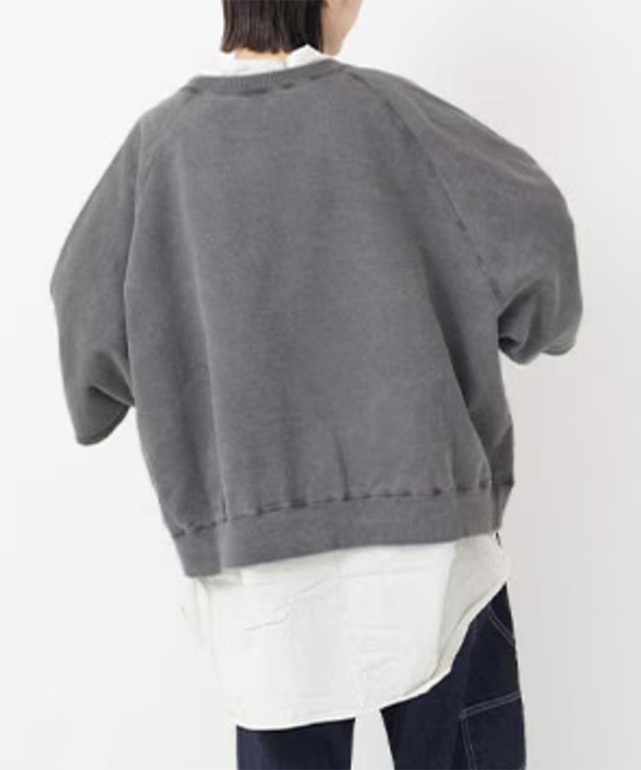 スウェットプルオーバー / Gray